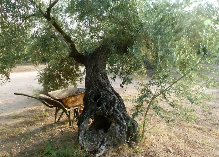 La Aragonesa